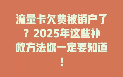 流量卡欠费被销户了？2025年这些补救方法你一定要知道！