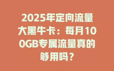 2025年定向流量大黑牛卡：每月100GB专属流量真的够用吗？