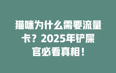 猫咪为什么需要流量卡？2025年铲屎官必看真相！