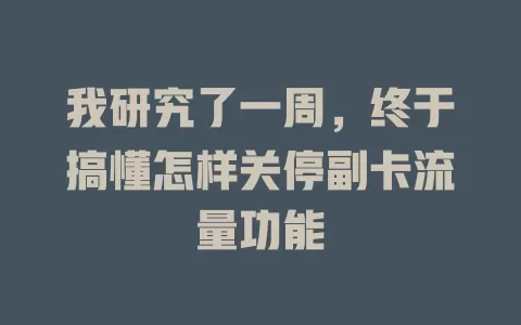 我研究了一周，终于搞懂怎样关停副卡流量功能