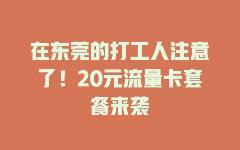 在东莞的打工人注意了！20元流量卡套餐来袭