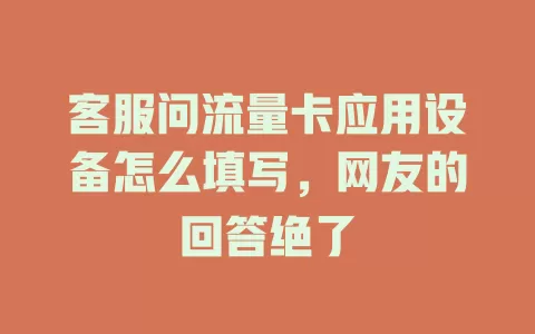 客服问流量卡应用设备怎么填写，网友的回答绝了