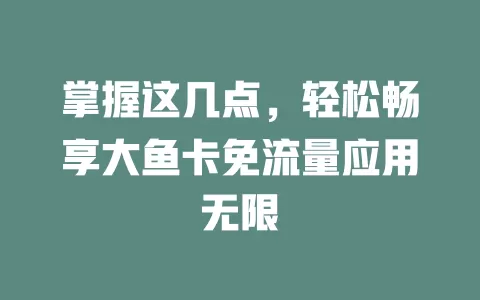 掌握这几点，轻松畅享大鱼卡免流量应用无限