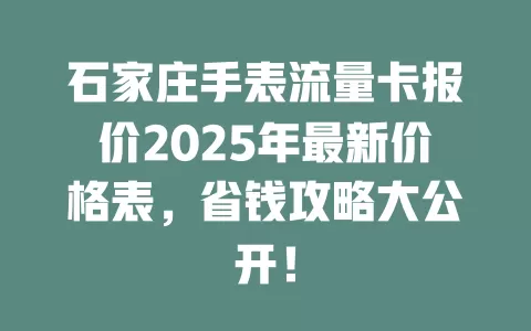 石家庄手表流量卡报价2025年最新价格表，省钱攻略大公开！