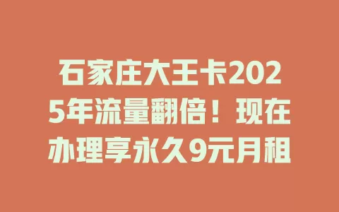 石家庄大王卡2025年流量翻倍！现在办理享永久9元月租