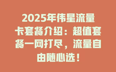 2025年伟星流量卡套餐介绍：超值套餐一网打尽，流量自由随心选！
