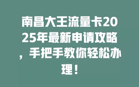 南昌大王流量卡2025年最新申请攻略，手把手教你轻松办理！