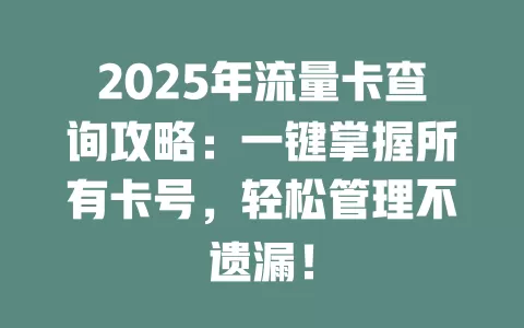 2025年流量卡查询攻略：一键掌握所有卡号，轻松管理不遗漏！