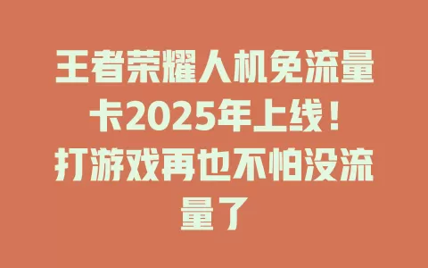 王者荣耀人机免流量卡2025年上线！打游戏再也不怕没流量了
