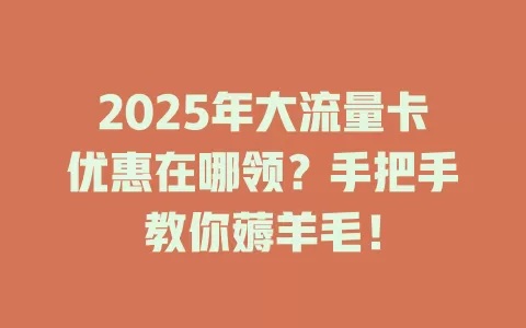 2025年大流量卡优惠在哪领？手把手教你薅羊毛！