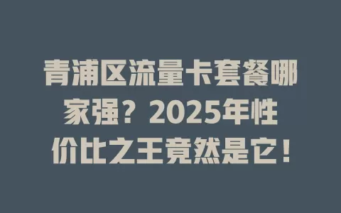 青浦区流量卡套餐哪家强？2025年性价比之王竟然是它！