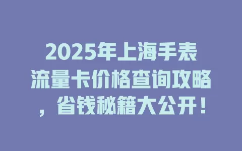 2025年上海手表流量卡价格查询攻略，省钱秘籍大公开！