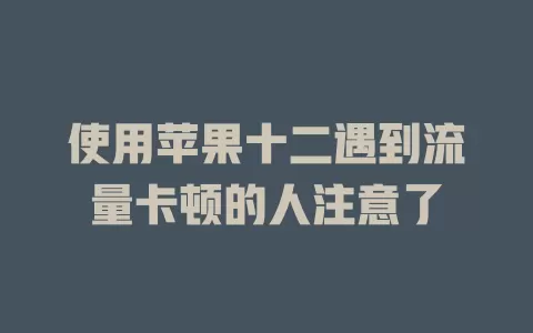 使用苹果十二遇到流量卡顿的人注意了