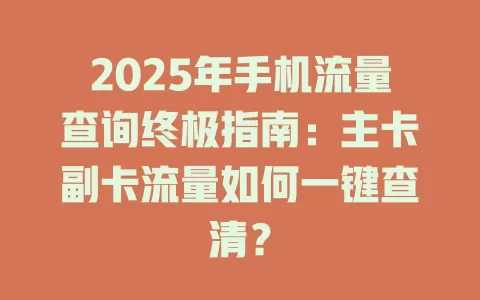 2025年手机流量查询终极指南：主卡副卡流量如何一键查清？