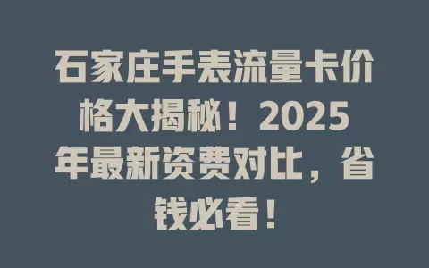 石家庄手表流量卡价格大揭秘！2025年最新资费对比，省钱必看！