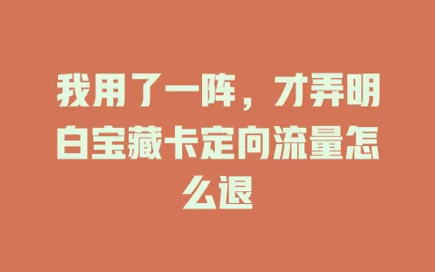 我用了一阵，才弄明白宝藏卡定向流量怎么退