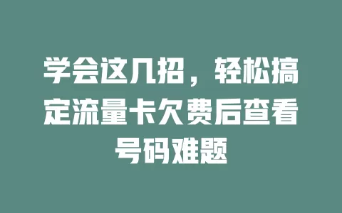 学会这几招，轻松搞定流量卡欠费后查看号码难题