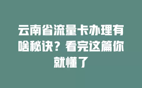 云南省流量卡办理有啥秘诀？看完这篇你就懂了