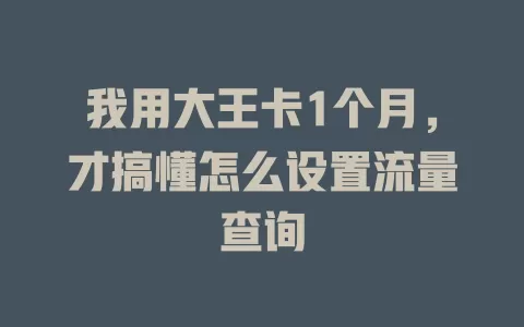 我用大王卡1个月，才搞懂怎么设置流量查询