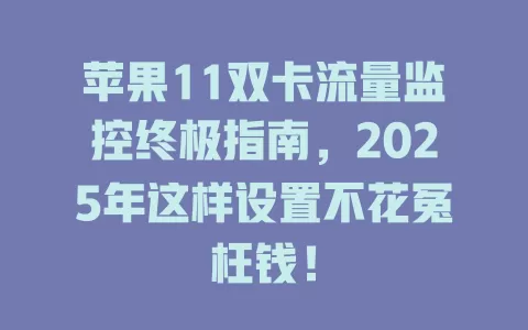 苹果11双卡流量监控终极指南，2025年这样设置不花冤枉钱！