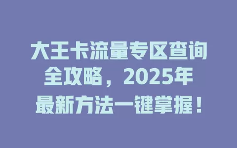 大王卡流量专区查询全攻略，2025年最新方法一键掌握！