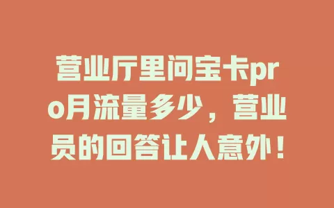 营业厅里问宝卡pro月流量多少，营业员的回答让人意外！