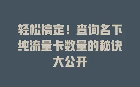 轻松搞定！查询名下纯流量卡数量的秘诀大公开