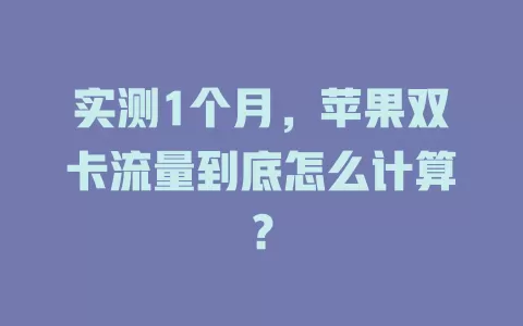实测1个月，苹果双卡流量到底怎么计算？