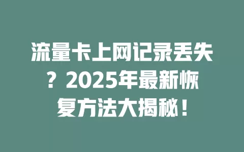流量卡上网记录丢失？2025年最新恢复方法大揭秘！