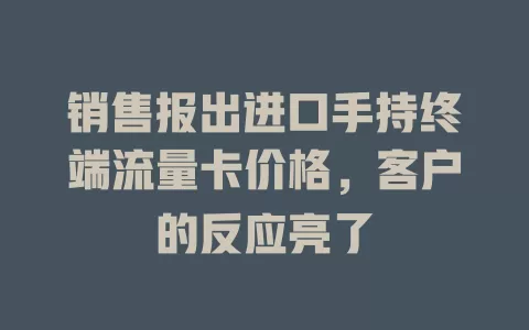 销售报出进口手持终端流量卡价格，客户的反应亮了