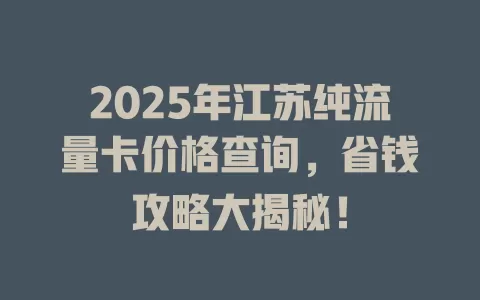 2025年江苏纯流量卡价格查询，省钱攻略大揭秘！