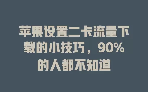 苹果设置二卡流量下载的小技巧，90%的人都不知道
