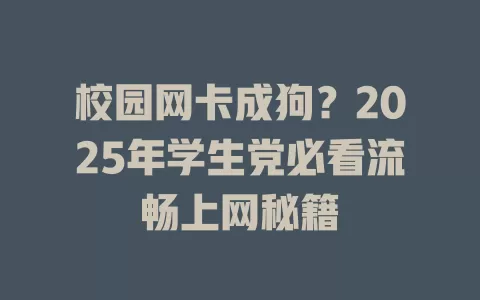 校园网卡成狗？2025年学生党必看流畅上网秘籍