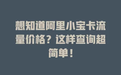 想知道阿里小宝卡流量价格？这样查询超简单！