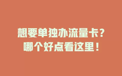 想要单独办流量卡？哪个好点看这里！