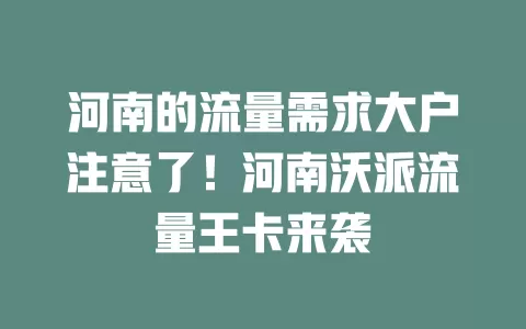 河南的流量需求大户注意了！河南沃派流量王卡来袭