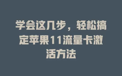 学会这几步，轻松搞定苹果11流量卡激活方法