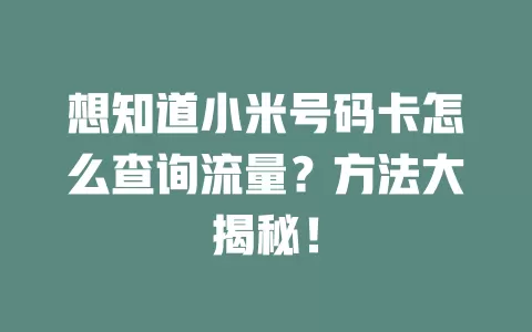 想知道小米号码卡怎么查询流量？方法大揭秘！