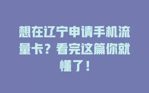 想在辽宁申请手机流量卡？看完这篇你就懂了！