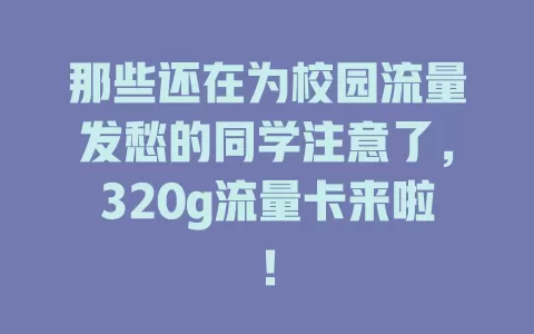 那些还在为校园流量发愁的同学注意了，320g流量卡来啦！