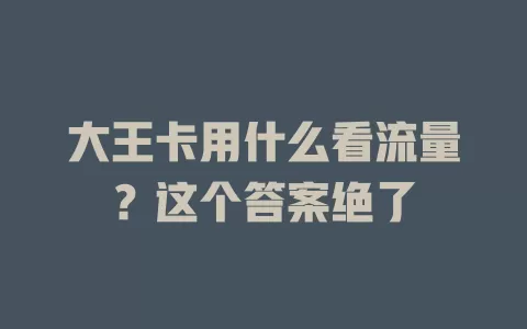 大王卡用什么看流量？这个答案绝了