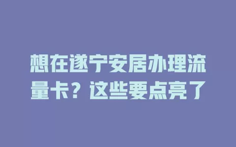想在遂宁安居办理流量卡？这些要点亮了