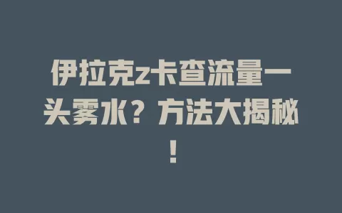 伊拉克z卡查流量一头雾水？方法大揭秘！