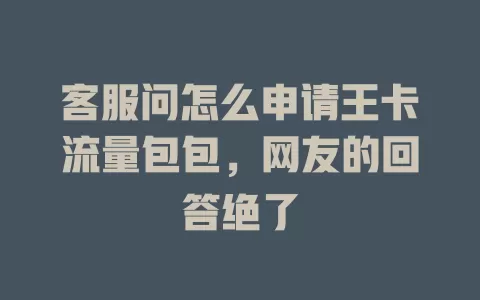 客服问怎么申请王卡流量包包，网友的回答绝了