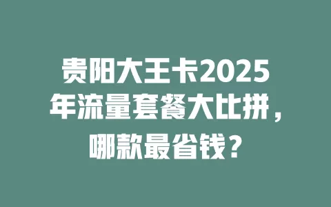 贵阳大王卡2025年流量套餐大比拼，哪款最省钱？