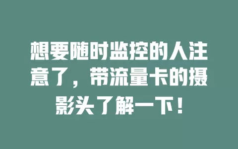 想要随时监控的人注意了，带流量卡的摄影头了解一下！