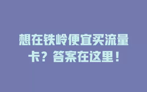 想在铁岭便宜买流量卡？答案在这里！