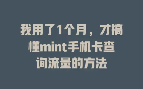我用了1个月，才搞懂mint手机卡查询流量的方法