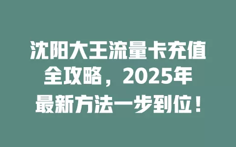沈阳大王流量卡充值全攻略，2025年最新方法一步到位！