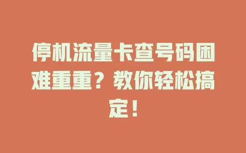 停机流量卡查号码困难重重？教你轻松搞定！